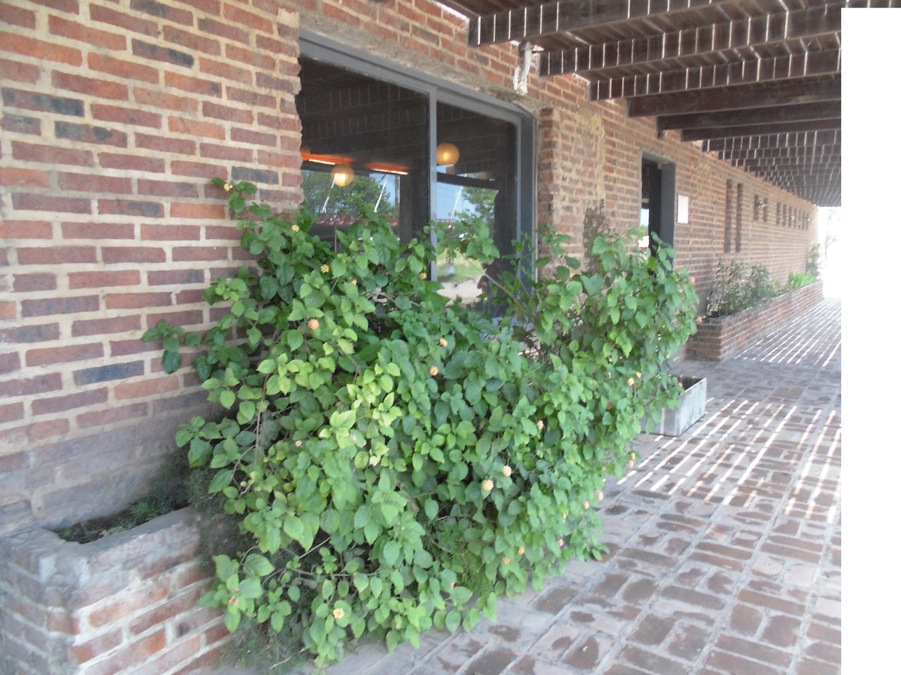 Desde el Pago de los Arroyos